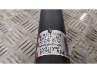 Задний aмортизатор