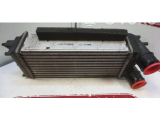 Интеркулер AV219L440AC Ford Fiesta