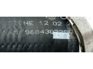  Турбина Citroen C4 I  9684307380         