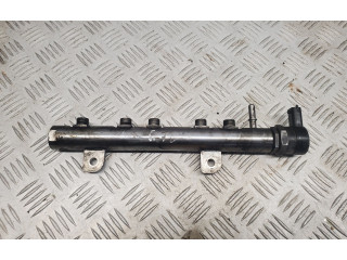 Топливная рампа 35022119G, 0445216044 Jeep Grand Cherokee