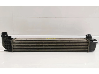 Интеркулер 8200880552B Dacia Duster