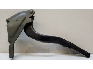 Петля (петли) капота двигателя