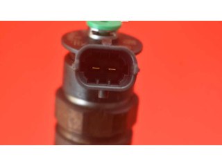 Форсунка 0445110252, 0445110252 Citroen Nemo