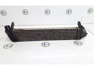 Интеркулер  8200409045, 8200409045   Dacia Duster 