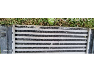 Интеркулер     Dacia Sandero III 