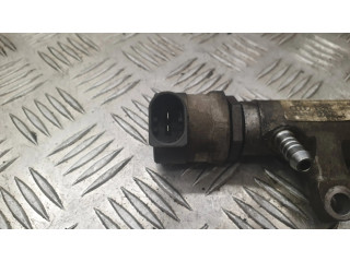 Топливная рампа 03L130089P Skoda Yeti (5L) 2.0