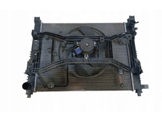 Радиатор охлаждающей жидкости 214107326R, 214107326R Dacia Lodgy