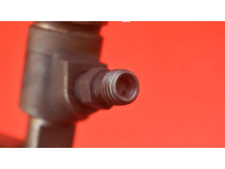 Форсунка 0445110252, 0445110252 Citroen Nemo