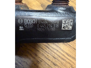 Vstřikovací lišta 9804776780, 0445214318 Citroen C3 Picasso