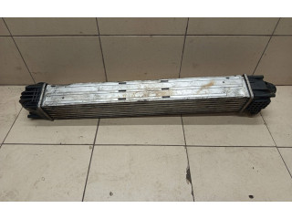 Интеркулер Dacia Duster