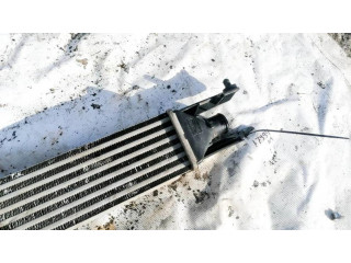 Интеркулер     Fiat Punto (188) 1.3