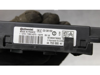 Блок управления S180073002, 9675359580 Citroen C5