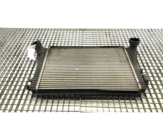 Интеркулер Skoda Octavia Mk2 (1Z)