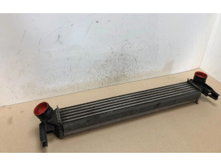 Интеркулер  R4642004, R4642004   Seat Ibiza IV (6J,6P) 