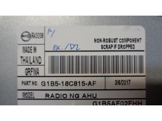 Радио/ проигрыватель CD/DVD / навигация