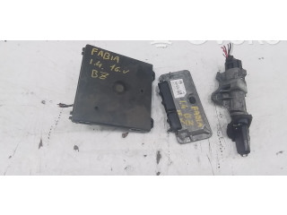 Комплект блоков управления Skoda Fabia Mk1 (6Y)
