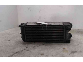 Интеркулер 384L4, 21804445 Citroen C4 I