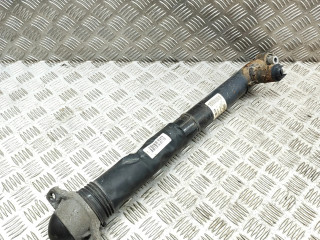 Задний aмортизатор      