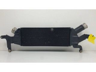 Интеркулер     Citroen C-Crosser 2.2