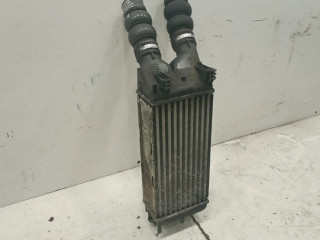 Интеркулер     Citroen Berlingo 