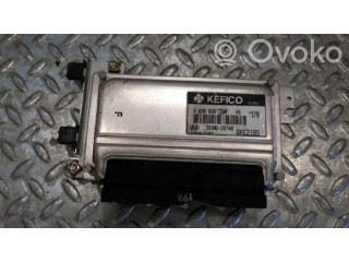 Блок управления 9030930198F, 3910626740 Hyundai Coupe