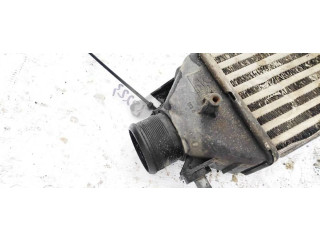 Интеркулер     Fiat Bravo 1.6