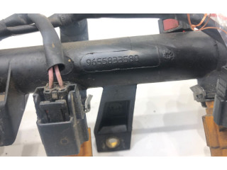 Топливная рампа 9655833580   Fiat Fiorino  