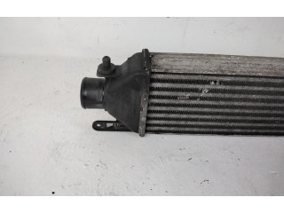 Интеркулер  51783791, 192A8000   Fiat Bravo 