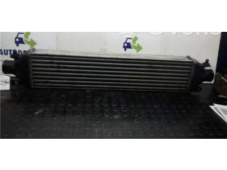 Интеркулер     Fiat Bravo - Brava 