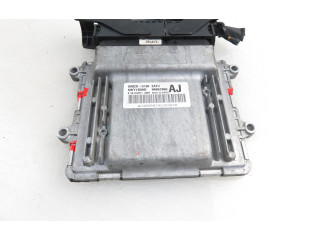 Řídící jednotka 5WY1B59D, 96862960AJ Chevrolet Epica 2008