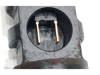 Vstřikovač 166000897R Renault Clio III