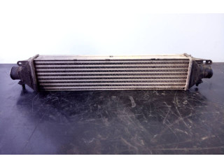 Интеркулер  P2-B10-1   Fiat Doblo 