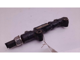 Vstřikovací lišta 9648580880 Ford C-MAX I