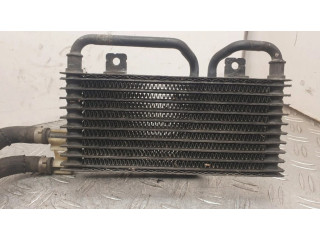 Радиатор усилителя руля