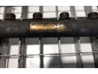 Топливная рампа Volkswagen Crafter