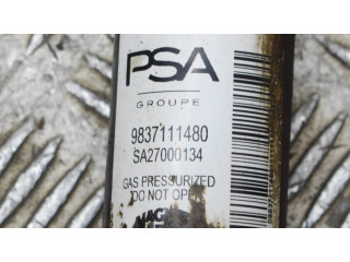 Задний aмортизатор      