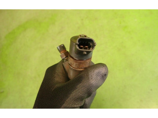 Vstřikovač KIA Carnival