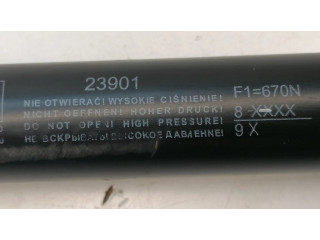 Амортизатор задней крышки