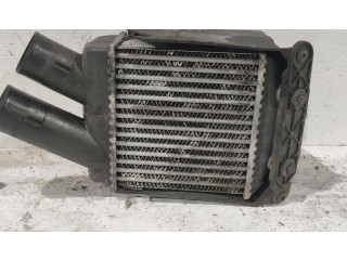 Интеркулер     Renault Scenic RX 