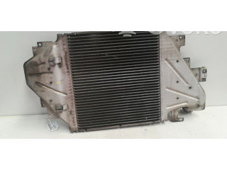 Интеркулер 16009020F0 Renault Clio II