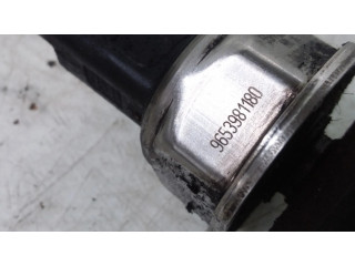 Vstřikovací lišta 9654592680, 9653981180 Citroen C3 pro naftový motor 1.6