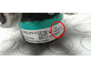 Топливная рампа 82000379933, 8200379933 Renault Clio III