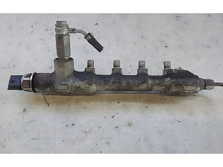 Топливная рампа    Opel Meriva B  