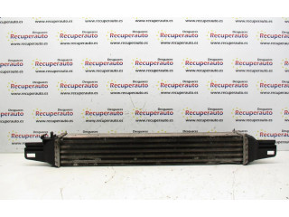 Интеркулер  51790623   Citroen C5 