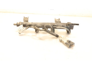 Топливная рампа    Citroen C3  