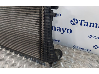 Интеркулер     Volkswagen Passat Alltrack 