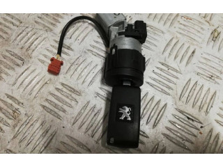 Řídící jednotka 9801556080, 9666912580 Peugeot RCZ 2013