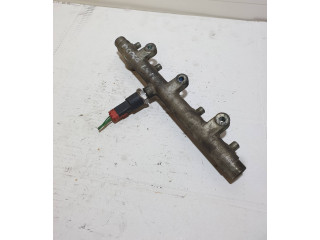 Топливная рампа 0445214019, 0445214019 Citroen Xsara Picasso