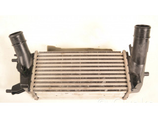 Интеркулер H1BG6K775AC Ford Fiesta 1.0