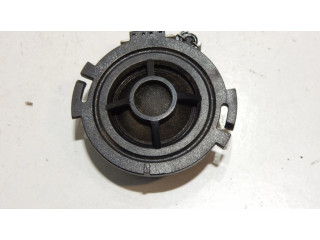 Aukšto dažnio garsiakalbis galinėse duryse